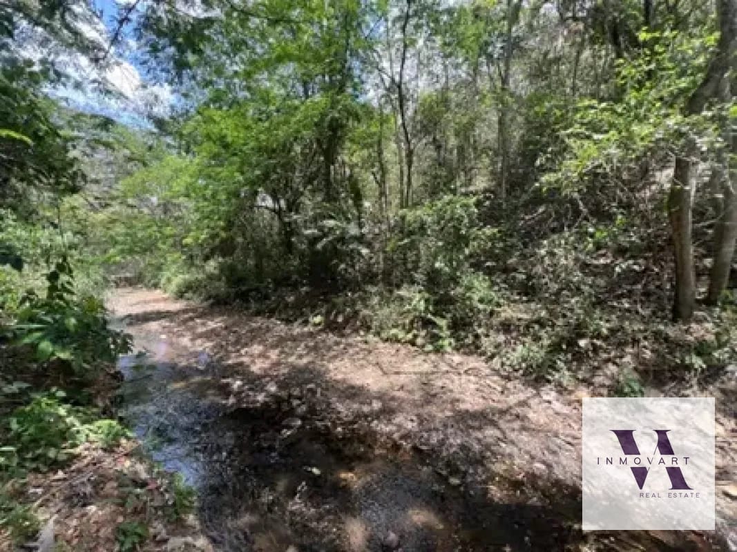 Vendo terreno en Escuintla frente a Carretera a Siquinala — Terreno en Venta en Escuintla, Escuintla — foto 5 de 6