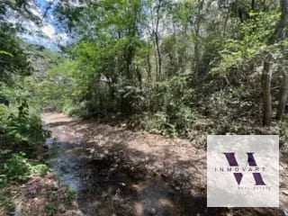 Vendo terreno en Escuintla frente a Carretera a Siquinala — Terreno en Venta en Escuintla, Escuintla — miniatura 5 de 6