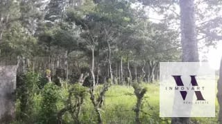 Vendo terreno en Escuintla frente a Carretera a Siquinala — Terreno en Venta en Escuintla, Escuintla — miniatura 6 de 6