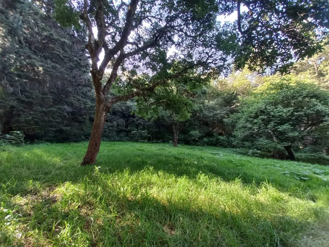 Terreno en venta en San Lucas Sacatepéquez, en Km 25 a 100 metros de ruta principal.  Ideal para proyecto ecológico. — Terreno en Venta en San Lucas Sacatepéquez, Sacatepéquez — foto 7 de 7