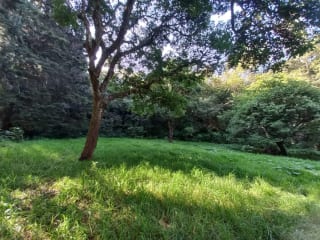 Terreno en venta en San Lucas Sacatepéquez, en Km 25 a 100 metros de ruta principal.  Ideal para proyecto ecológico. — Terreno en Venta en San Lucas Sacatepéquez, Sacatepéquez — miniatura 7 de 7