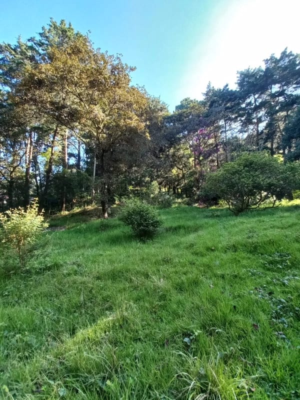 Terreno en venta en San Lucas Sacatepéquez, en Km 25 a 100 metros de ruta principal.  Ideal para proyecto ecológico. — Terreno en Venta en San Lucas Sacatepéquez, Sacatepéquez — foto 6 de 7