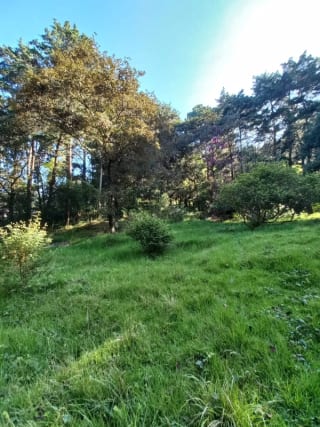 Terreno en venta en San Lucas Sacatepéquez, en Km 25 a 100 metros de ruta principal.  Ideal para proyecto ecológico. — Terreno en Venta en San Lucas Sacatepéquez, Sacatepéquez — miniatura 6 de 7