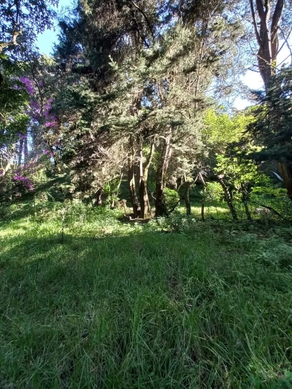 Terreno en venta en San Lucas Sacatepéquez, en Km 25 a 100 metros de ruta principal.  Ideal para proyecto ecológico. — Terreno en Venta en San Lucas Sacatepéquez, Sacatepéquez — foto 5 de 7