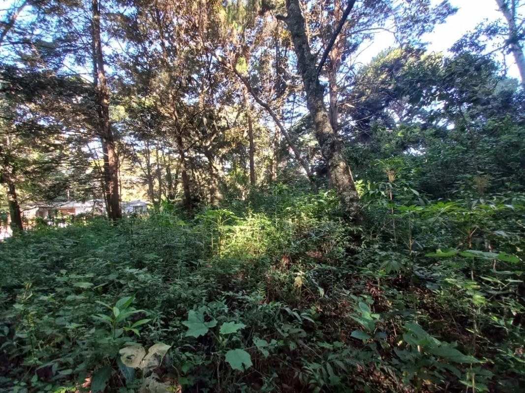 Terreno en venta en San Lucas Sacatepéquez, en Km 25 a 100 metros de ruta principal.  Ideal para proyecto ecológico. — Terreno en Venta en San Lucas Sacatepéquez, Sacatepéquez — foto 4 de 7