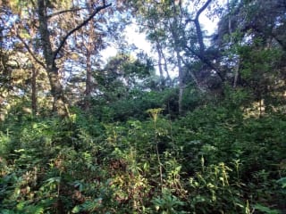 Terreno en venta en San Lucas Sacatepéquez, en Km 25 a 100 metros de ruta principal.  Ideal para proyecto ecológico. — Terreno en Venta en San Lucas Sacatepéquez, Sacatepéquez — miniatura 3 de 7