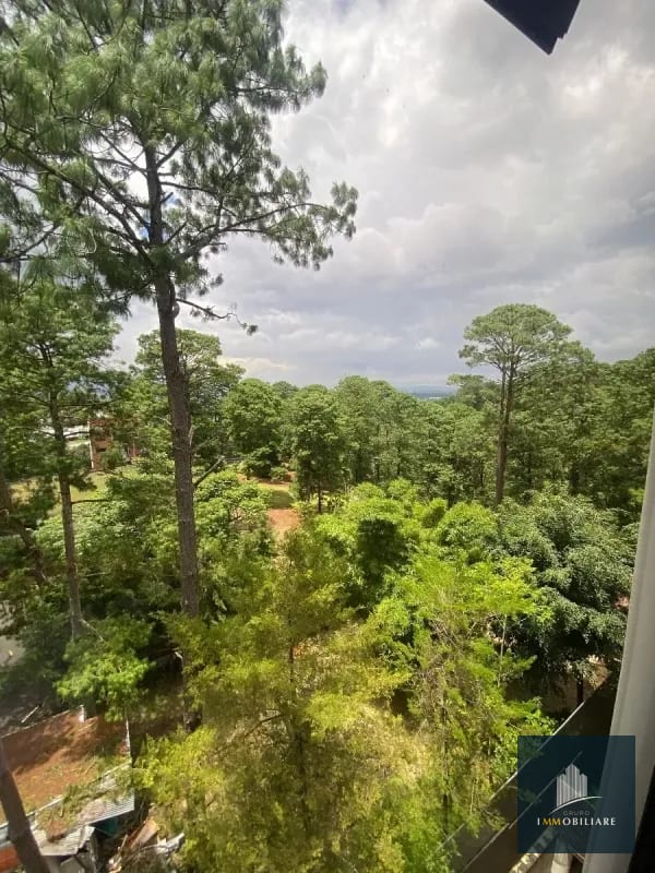 Apartamento en alquiler zona 16 kanajuyu — Apartamento en Alquiler en Kanajuyú, Zona 16, Guatemala, Ciudad — foto 7 de 17
