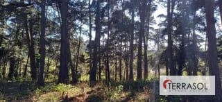 Terreno plano exlusivo Km 12 Carretera Al Salvador — Terreno en Venta en El Socorro, Carretera a El Salvador, Guatemala, Ciudad — miniatura 2 de 3