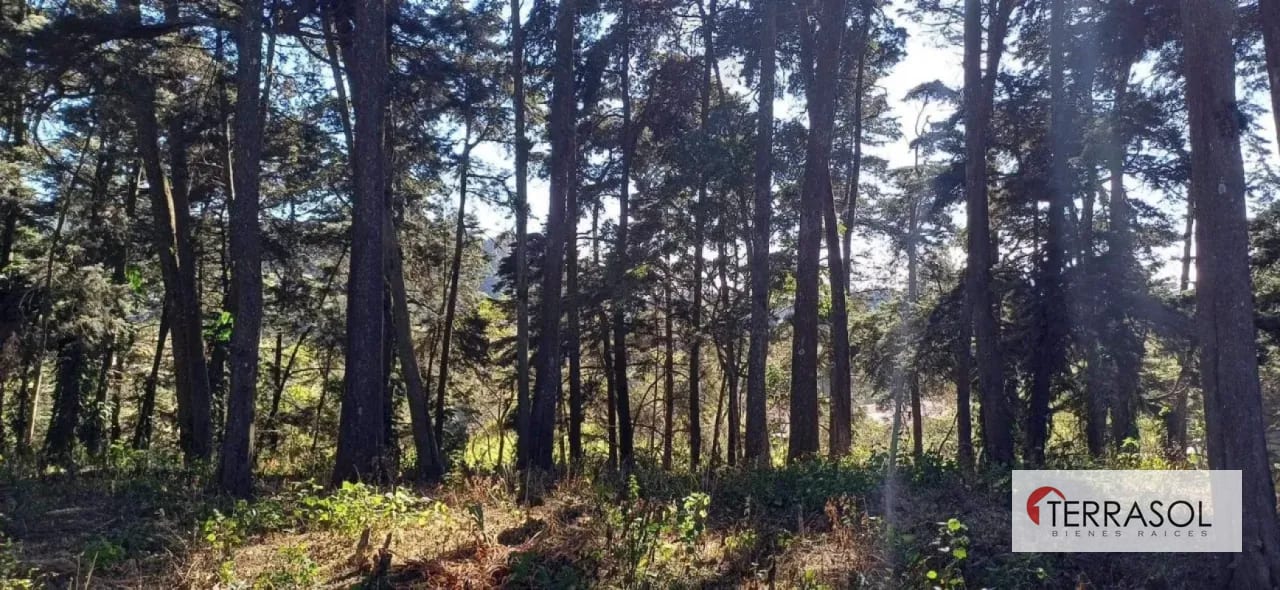 Terreno plano exlusivo Km 12 Carretera Al Salvador — Terreno en Venta en El Socorro, Carretera a El Salvador, Guatemala, Ciudad — foto 2 de 3