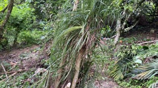 Venta de Terreno en La Montaña, zona 16 — Terreno en Venta en La Montaña, Zona 16, Guatemala, Ciudad — miniatura 4 de 5