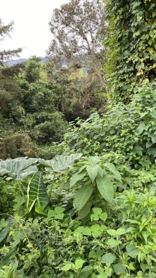 Venta de Terreno en La Montaña, zona 16 — Terreno en Venta en La Montaña, Zona 16, Guatemala, Ciudad — miniatura 3 de 5