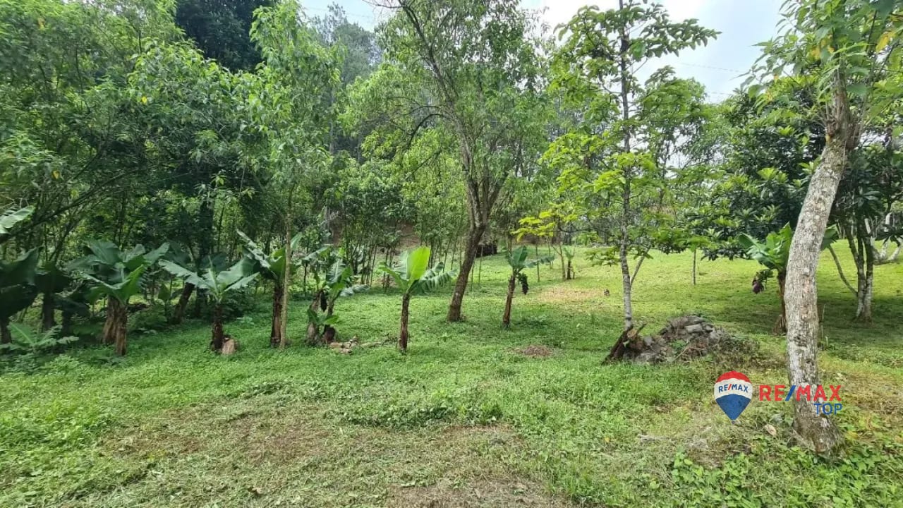 TERRENO COMERCIAL DE 1 MANZANA  ENTRADA DE COBÁN, ALTA VERAPAZ — Terreno en Venta en Cobán, Alta Verapaz — foto 4 de 4