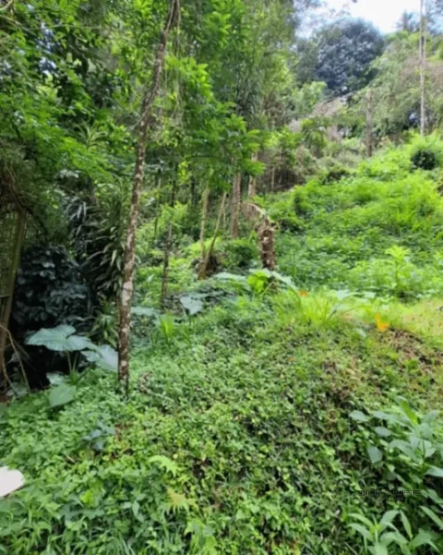 TERRENO EN VENTA EN LA MONTAÑA, ZONA 16 — Terreno en Venta en La Montaña, Zona 16, Guatemala, Ciudad — foto 1 de 9