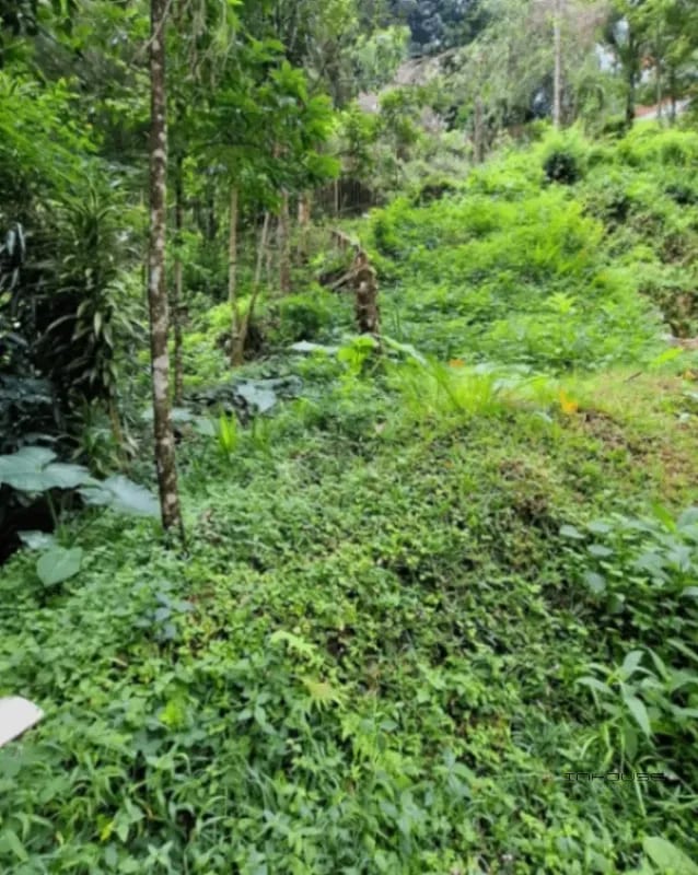 TERRENO EN VENTA EN LA MONTAÑA, ZONA 16 — Terreno en Venta en La Montaña, Zona 16, Guatemala, Ciudad — foto 2 de 9