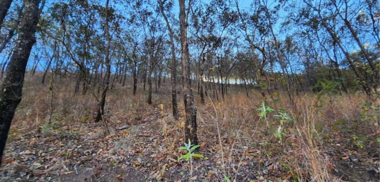 Terreno de 33 manzanas en palencia — Terreno en Venta en palencia, Guatemala, Ciudad — foto 2 de 7