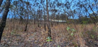 Terreno de 33 manzanas en palencia — Terreno en Venta en palencia, Guatemala, Ciudad — miniatura 2 de 7