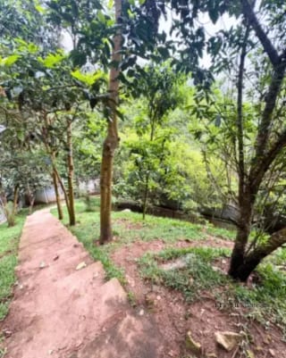 APARTAMENTO EN VENTA ZONA 16  BOSQUES DE EUSKADI — Apartamento en Venta en Zona 16, Guatemala, Ciudad — miniatura 13 de 16