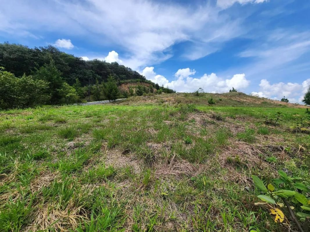 Terreno en Venta | El Pulté Golf – Sector 3, Lote T6, Zona 16 — Terreno en Venta en El Pulté Golf, Zona 16, Guatemala, Ciudad — foto 8 de 12