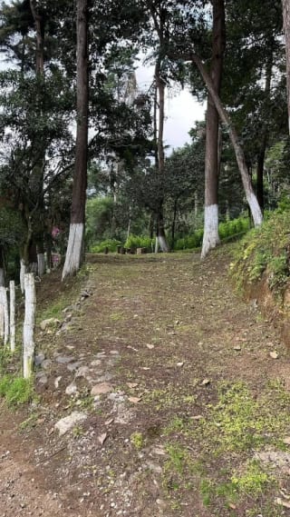 Terreno en VENTA Santa Lucia Milpas Altas con Excelentes Vistas — Terreno en Venta en Santa Lucía Milpas Altas, Sacatepéquez — miniatura 5 de 9