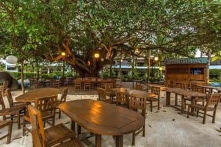 Venta Villa remodelada -Los Cabos, Monterrico- — Casa vacacional en Venta en Monterrico, Guatemala, Ciudad — miniatura 2 de 13