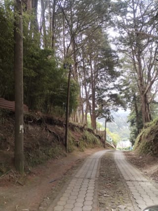 Terreno en Venta, Aldea el Pajón, CAES — Terreno en Venta en Carretera a El Salvador, Guatemala, Ciudad — miniatura 1 de 3