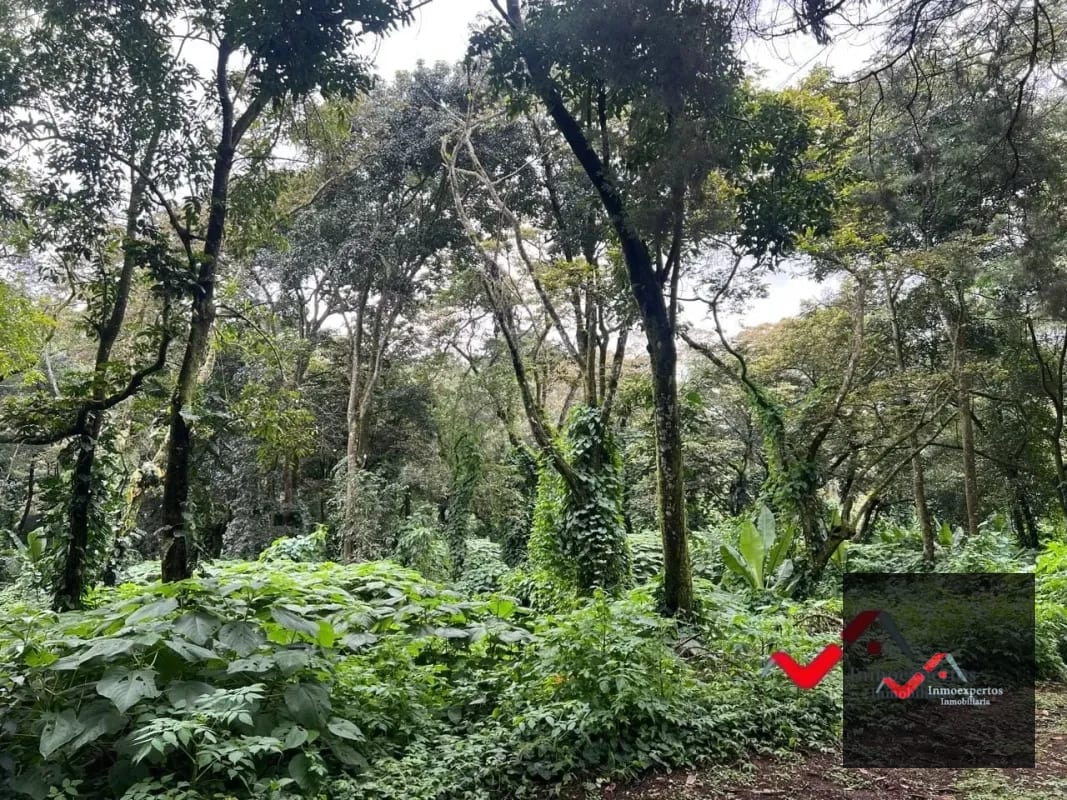Terreno en venta Carretera a el Salvador km 22.5 Residencial Premier Campestre — Terreno en Venta en Premier Campestre, Carretera a El Salvador, Guatemala, Ciudad — foto 3 de 11