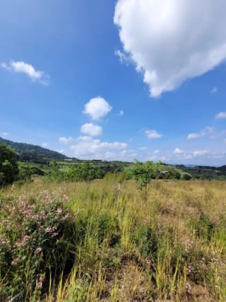 Vendo Terreno en EL PULTÉ zona 16 — Terreno en Venta en El Pulté Ecuestre, Zona 16, Guatemala, Ciudad — miniatura 2 de 8