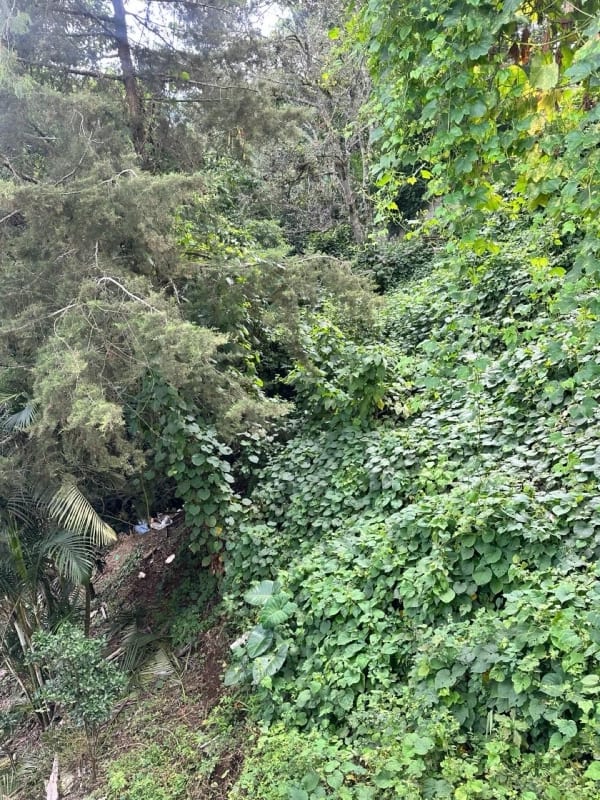 Terreno en venta  La Montaña, zona 16 — Terreno en Venta en La Montaña, Zona 16, Guatemala, Ciudad — foto 3 de 6