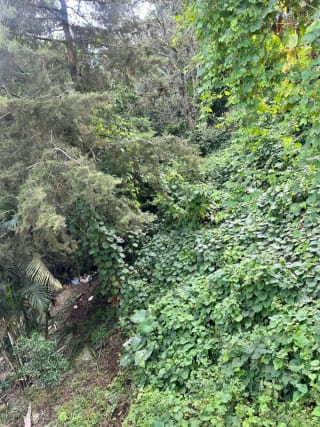 Terreno en venta  La Montaña, zona 16 — Terreno en Venta en La Montaña, Zona 16, Guatemala, Ciudad — miniatura 3 de 6