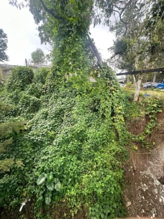 Terreno en venta  La Montaña, zona 16 — Terreno en Venta en La Montaña, Zona 16, Guatemala, Ciudad — miniatura 2 de 6