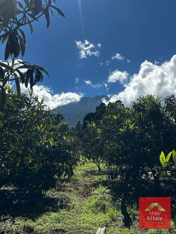 TERRENO EN VENTA SAN JUAN DEL OBISPO / Antigua Guatemala — Terreno en Venta en Antigua, Sacatepéquez — foto 3 de 3