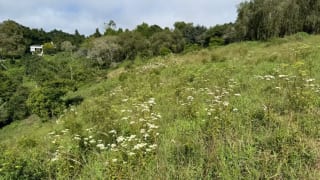 Terreno en Venta KM16.5 CAES — Terreno en Venta en Carretera a El Salvador, Guatemala, Ciudad — miniatura 3 de 3