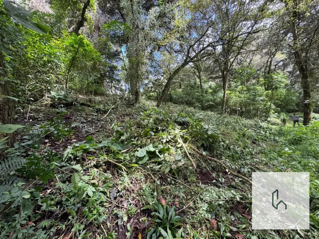 Venta de Terreno en San Juan Sacatepequez — Terreno en Venta en San Juan Sacatepéquez, Sacatepéquez — foto 3 de 5