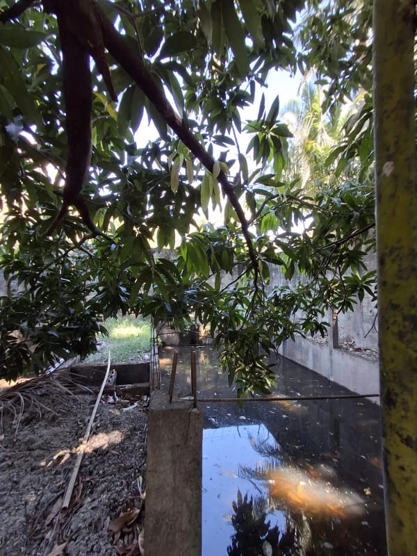 Granja en Venta- El Edén Guanagazapa, Escuintla — Casa en Venta en Guanagazapa, Escuintla — foto 5 de 10