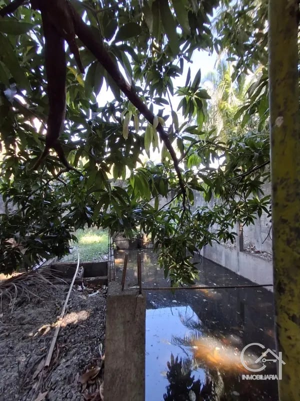 Granja en Venta- El Edén Guanagazapa, Escuintla — Casa en Venta en Guanagazapa, Escuintla — foto 5 de 10