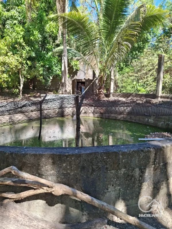 Granja en Venta- El Edén Guanagazapa, Escuintla — Casa en Venta en Guanagazapa, Escuintla — foto 2 de 10