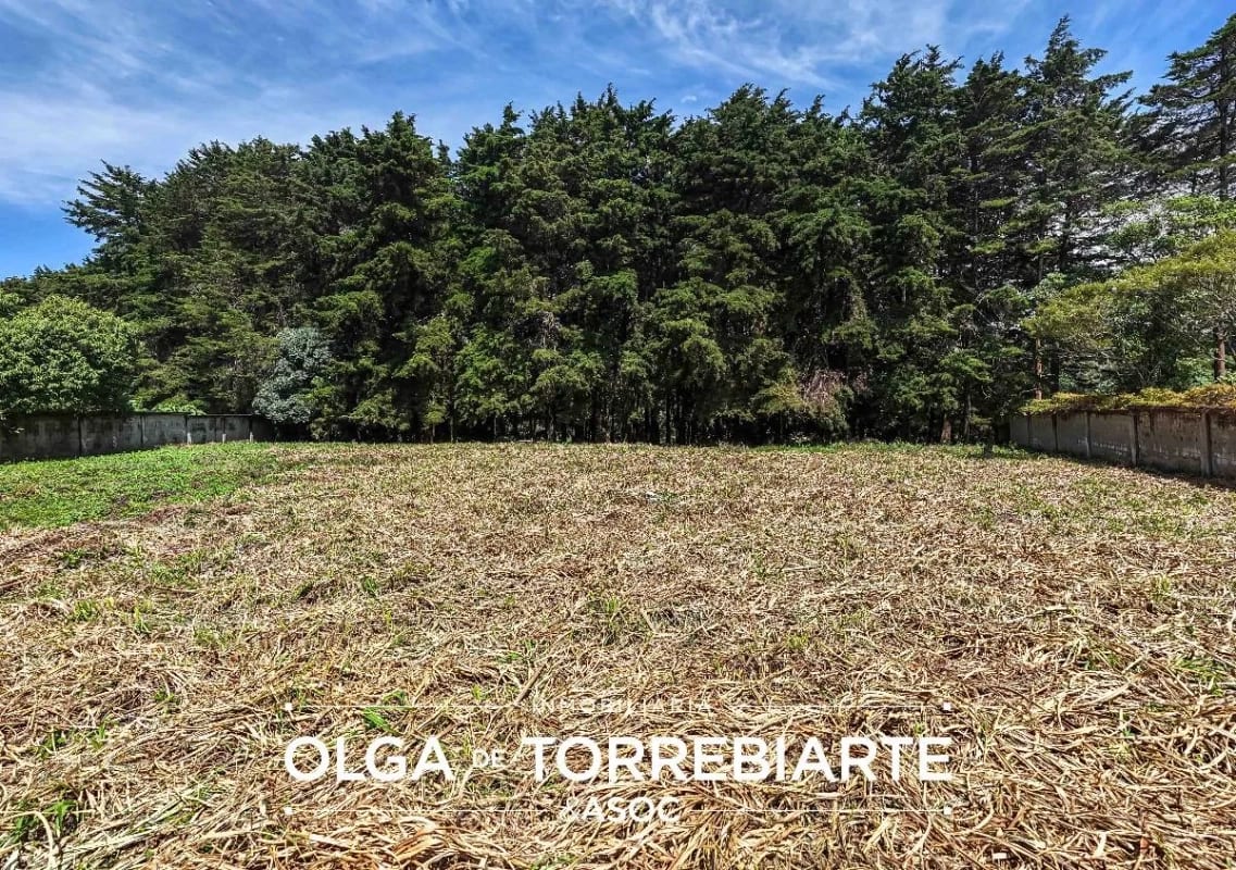 Terreno en Casa y Campo — Terreno en Venta en Carretera a El Salvador, Guatemala, Ciudad — foto 2 de 3