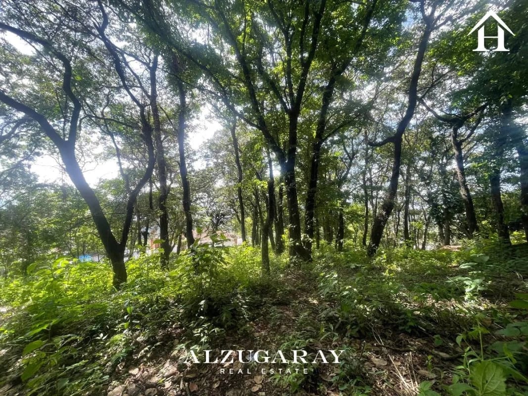 TERRENO RESIDENCIAL AMPLIO 4,198 VR2 / EL ENCINAL MIXCO — Terreno en Venta en Zona 7 Mixco, Guatemala, Ciudad — foto 6 de 10