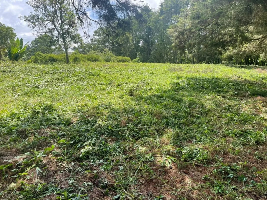 IDEAL PARA DESARROLLO VIVIENDA TERRENO EN KM 16 — Terreno en Venta en Carretera a El Salvador, Guatemala, Ciudad — foto 3 de 3