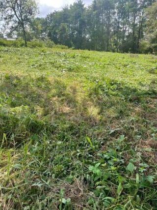 IDEAL PARA DESARROLLO VIVIENDA TERRENO EN KM 16 — Terreno en Venta en Carretera a El Salvador, Guatemala, Ciudad — miniatura 2 de 3