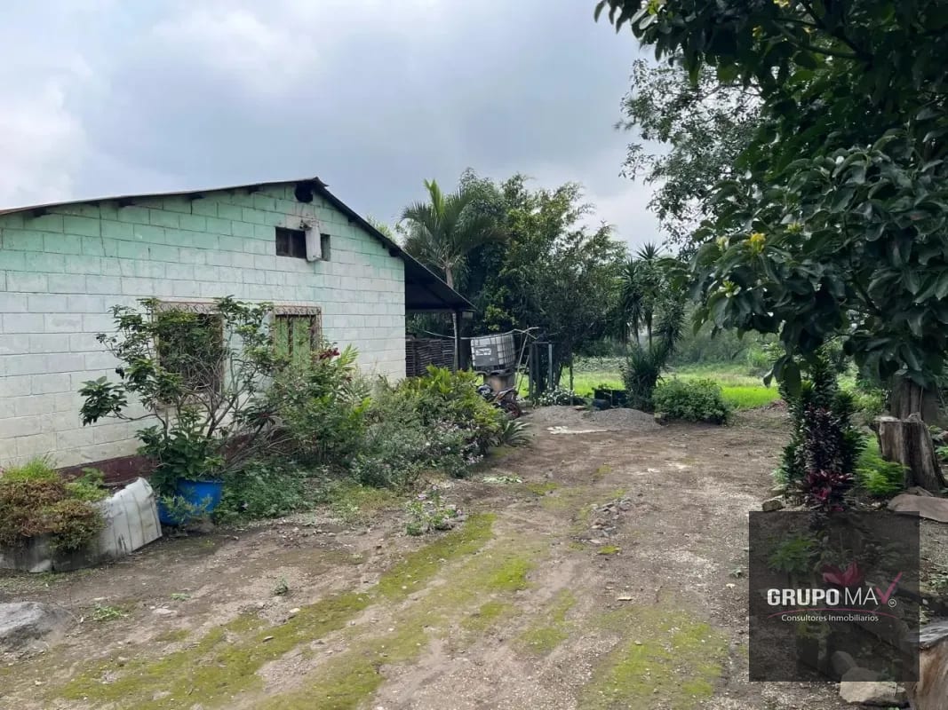 Terreno Los Sauces Km.37 Palín Escuintla — Terreno en Venta en Escuintla, Escuintla — foto 2 de 6