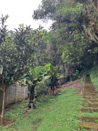 Granja en Venta — Terreno en Venta en San Lucas Sacatepéquez, Sacatepéquez — miniatura 9 de 11