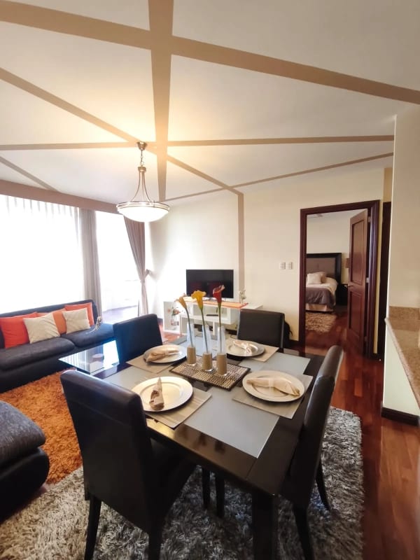Apartamento Amueblado en Venta y Renta en Zona 14 — Apartamento en Alquiler en Zona 14, Guatemala, Ciudad — foto 10 de 17