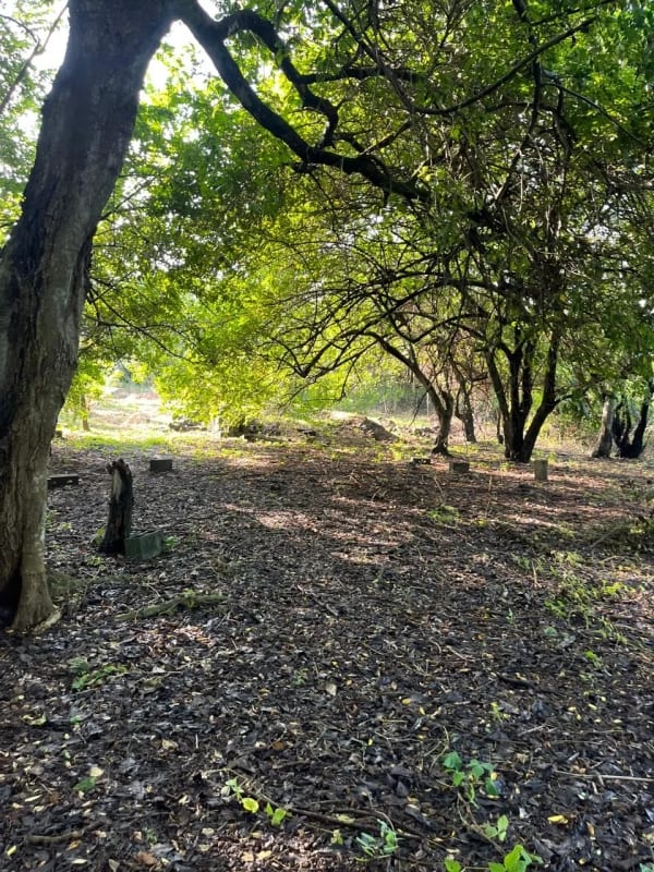 Terreno en Venta - La poderosa - Km 77 Autopista a Pto. Quetzal. — Terreno en Venta en Puerto Quetzal, Escuintla — foto 6 de 8
