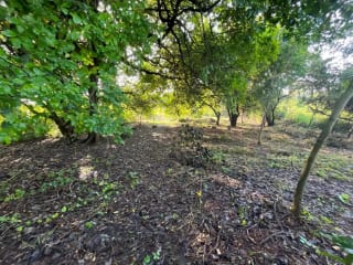 Terreno en Venta - La poderosa - Km 77 Autopista a Pto. Quetzal. — Terreno en Venta en Puerto Quetzal, Escuintla — miniatura 5 de 8