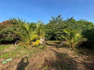 Terreno en Venta - La poderosa - Km 77 Autopista a Pto. Quetzal. — Terreno en Venta en Puerto Quetzal, Escuintla — miniatura 4 de 8