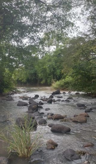 Terreno en Venta - La poderosa - Km 77 Autopista a Pto. Quetzal. — Terreno en Venta en Puerto Quetzal, Escuintla — miniatura 3 de 8