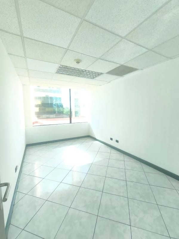 Oficina en Renta zona 14 — Oficina en Alquiler en Zona 14, Guatemala, Ciudad — foto 4 de 11