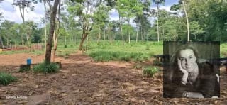 TERRENO EN VENTA – COATEPEQUE, A 200 METROS DEL KM 223 CA-2 — Terreno en Venta en Coatepeque, Quetzaltenango — miniatura 1 de 4