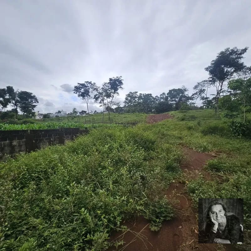 TERRENO EN VENTA – COATEPEQUE, A 200 METROS DEL KM 223 CA-2 — Terreno en Venta en Coatepeque, Quetzaltenango — foto 3 de 4